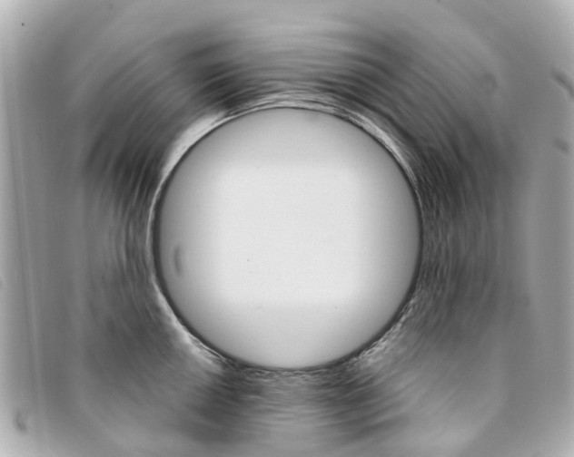 X0000094221050200710260949