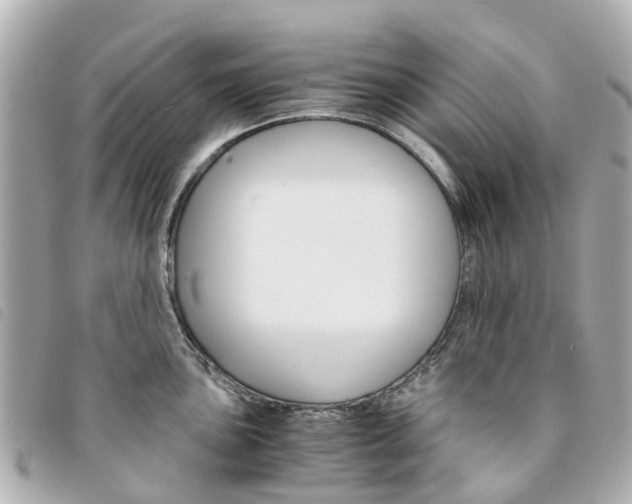 X0000094221051200710260949