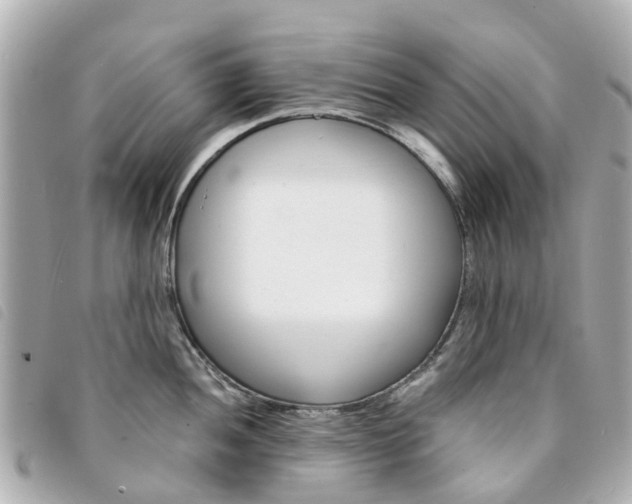 X0000094221052200710260949