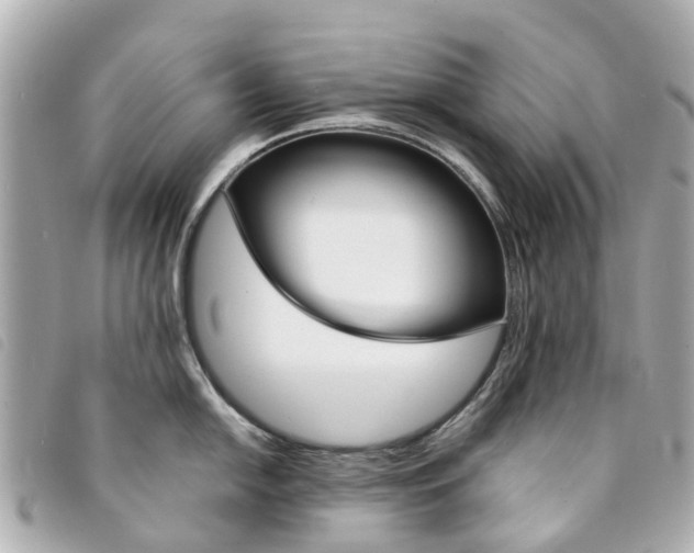 X0000094221054200710260949