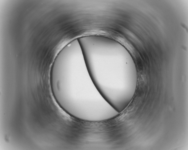 X0000094221055200710260949