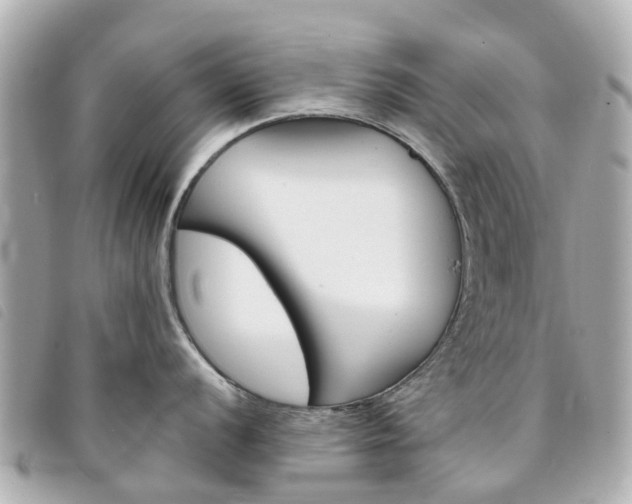 X0000094221056200710260949
