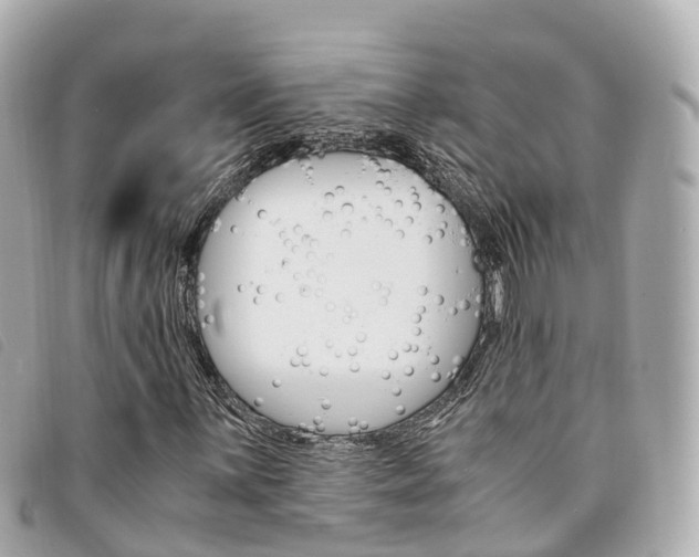 X0000094221059200710260949