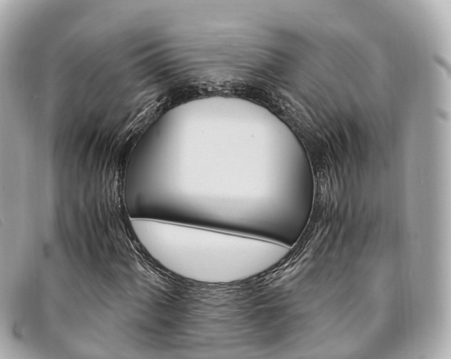 X0000094221060200710260949