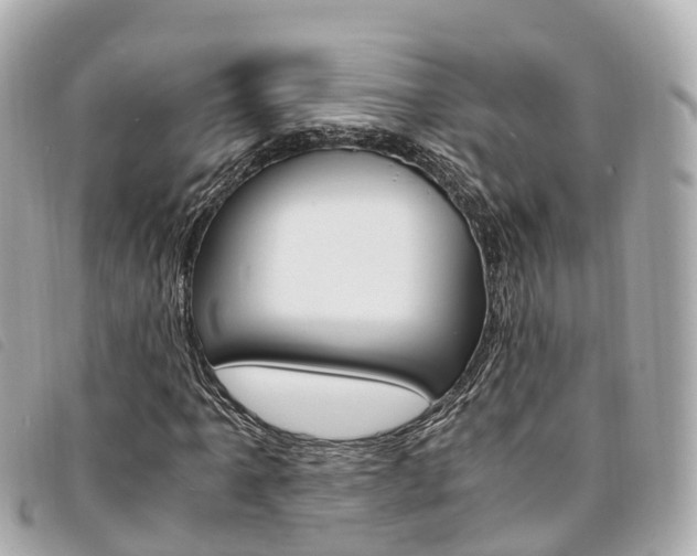 X0000094221061200710260949