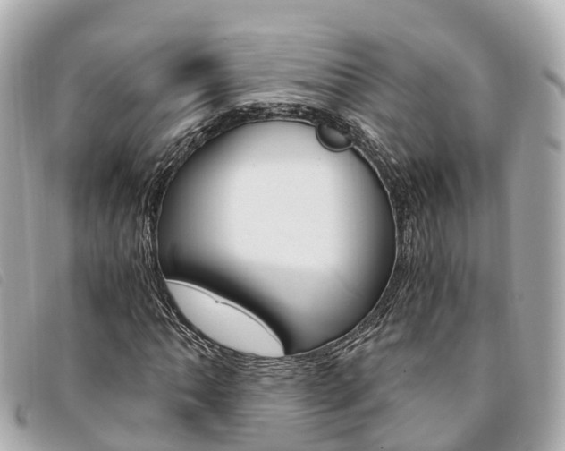 X0000094221062200710260949