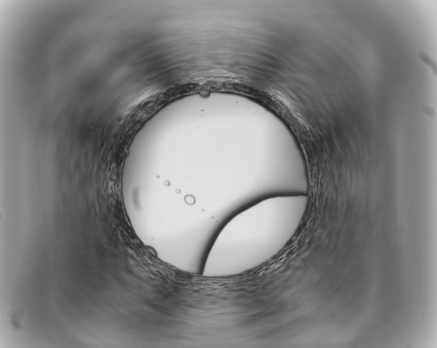X0000094221063200710260949