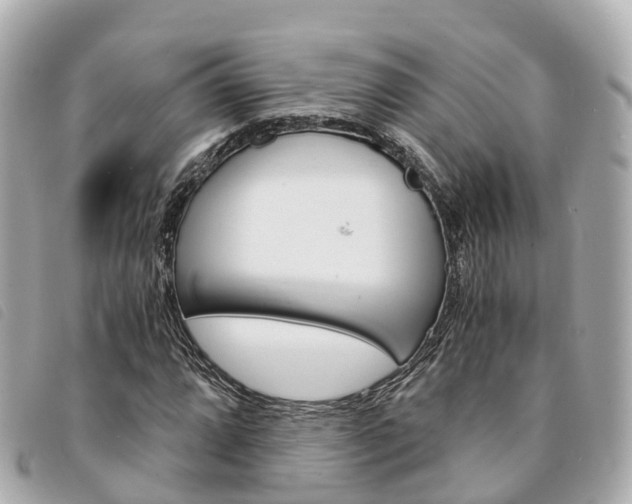 X0000094221064200710260949