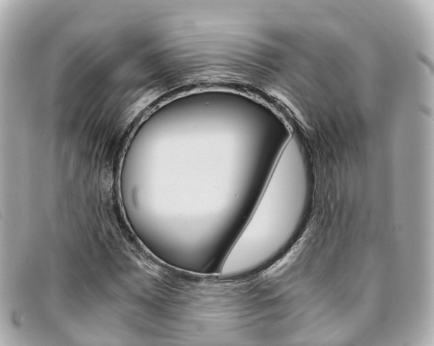 X0000094221065200710260949