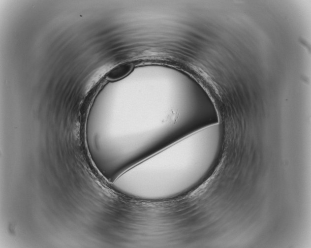 X0000094221066200710260949
