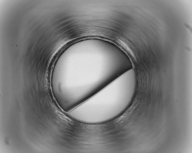X0000094221068200710260949