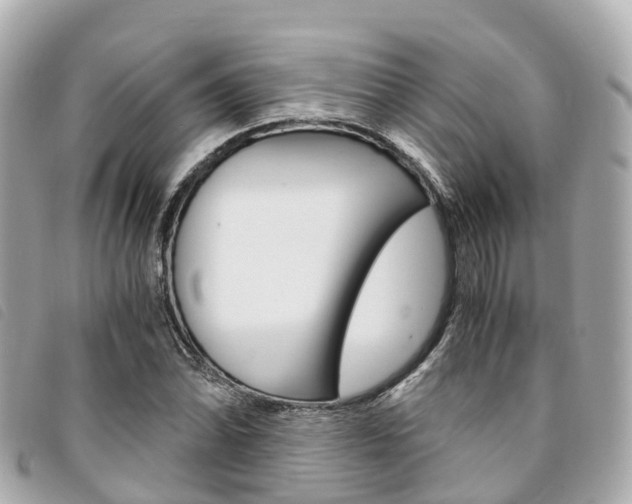 X0000094221070200710260949