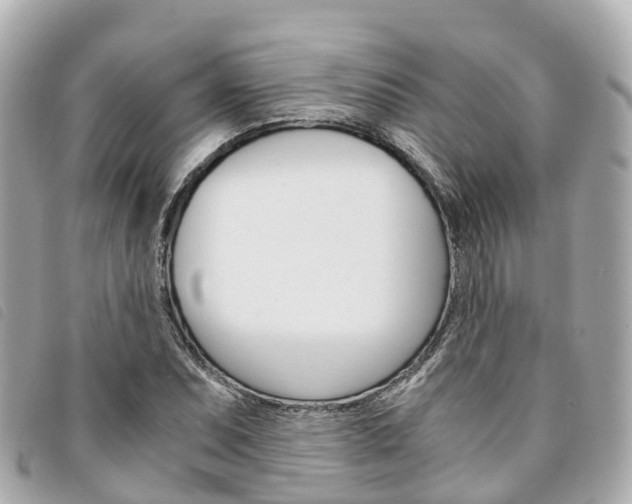 X0000094221071200710260949