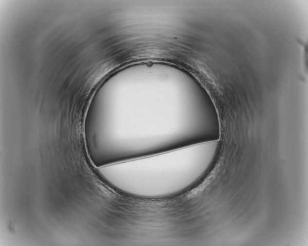 X0000094221073200710260949