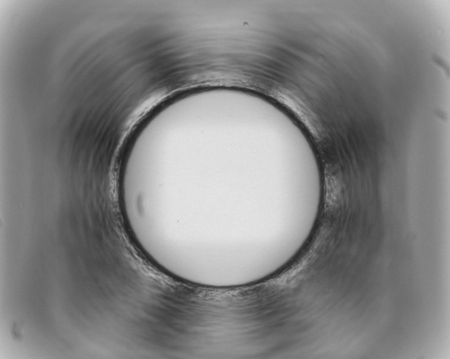 X0000094221074200710260949