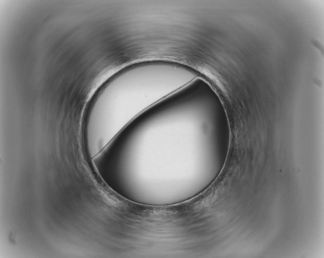 X0000094221077200710260949