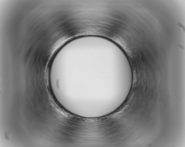 X0000094221078200710260949