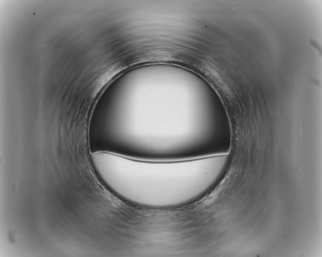 X0000094221081200710260949