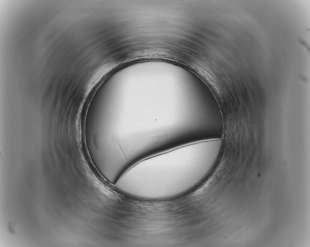 X0000094221082200710260949