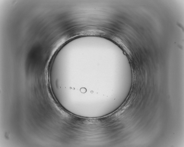 X0000094221083200710260949