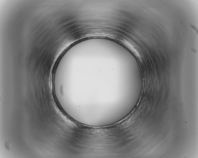 X0000094221084200710260949
