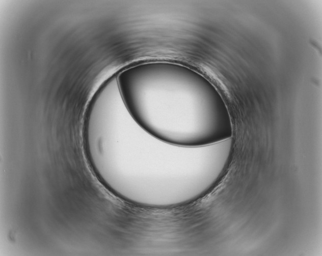 X0000094221085200710260949