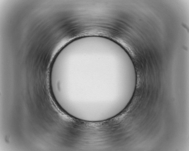 X0000094221086200710260949