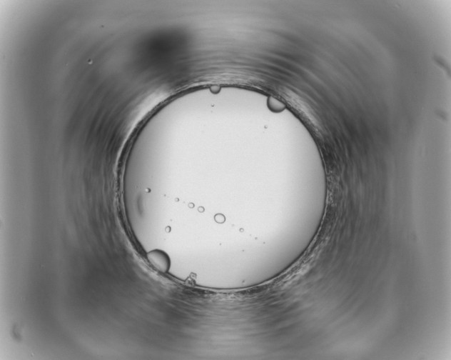 X0000094221087200710260949