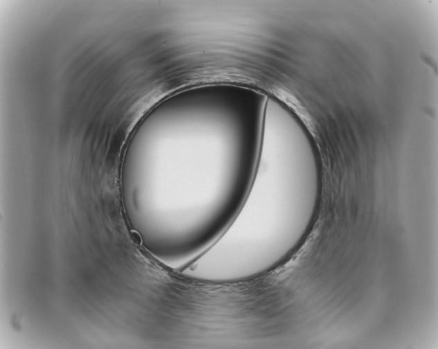 X0000094221089200710260949