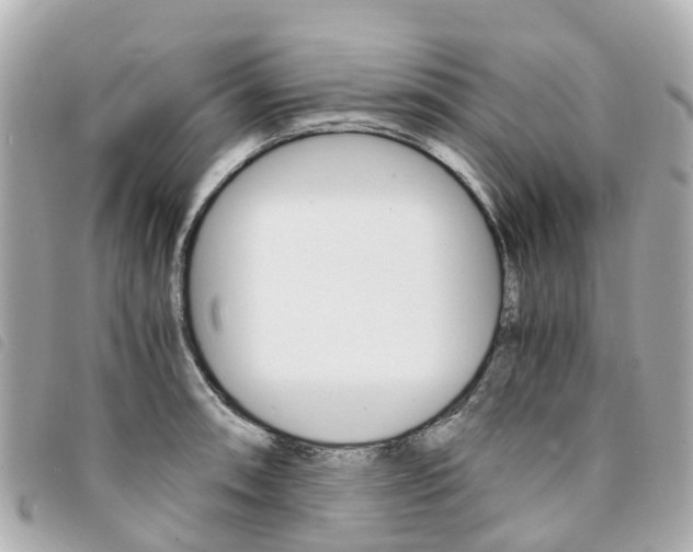 X0000094221090200710260949