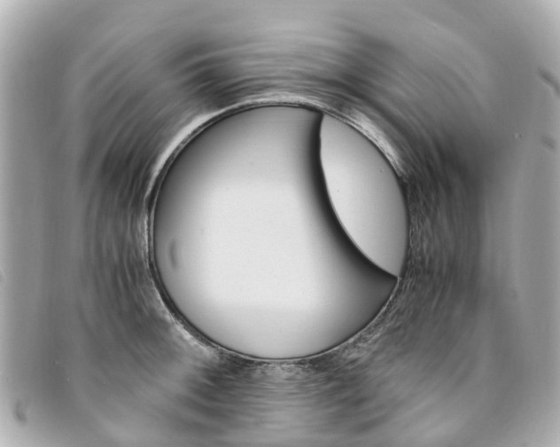 X0000094221092200710260948