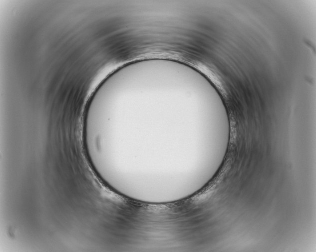 X0000094221094200710260948