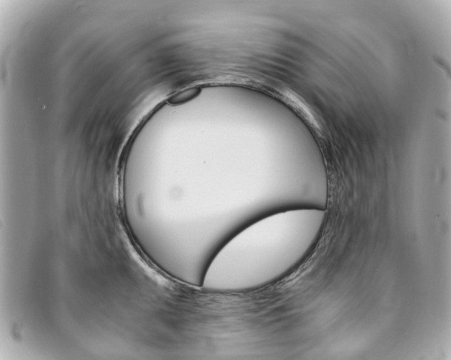X0000094221095200710260948