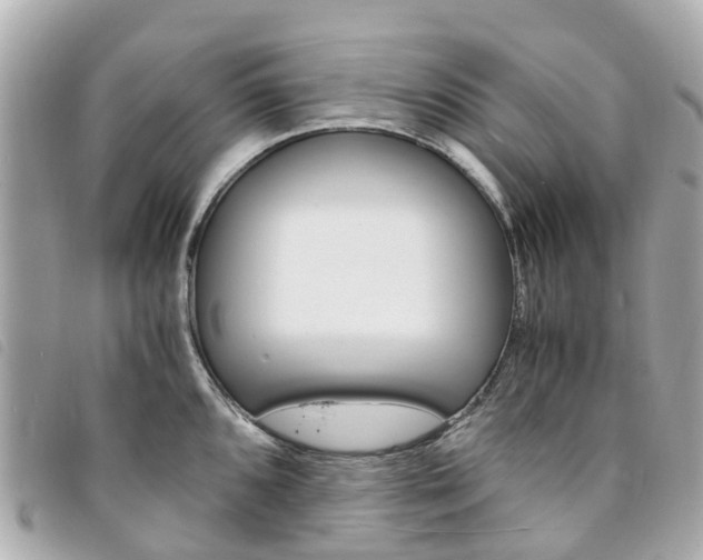 X0000094221096200710260948