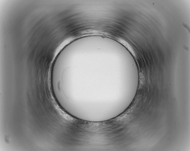 X0000094221098200710260948