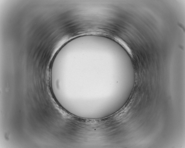 X0000094221099200710260948