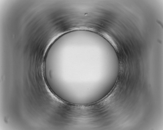 X0000094221100200710260948