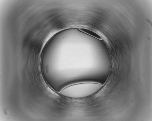 X0000094221102200710260948