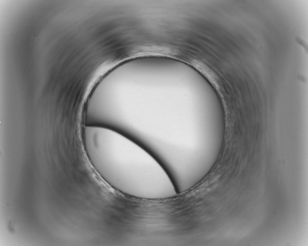 X0000094221104200710260948