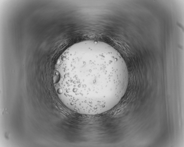 X0000094221105200710260948