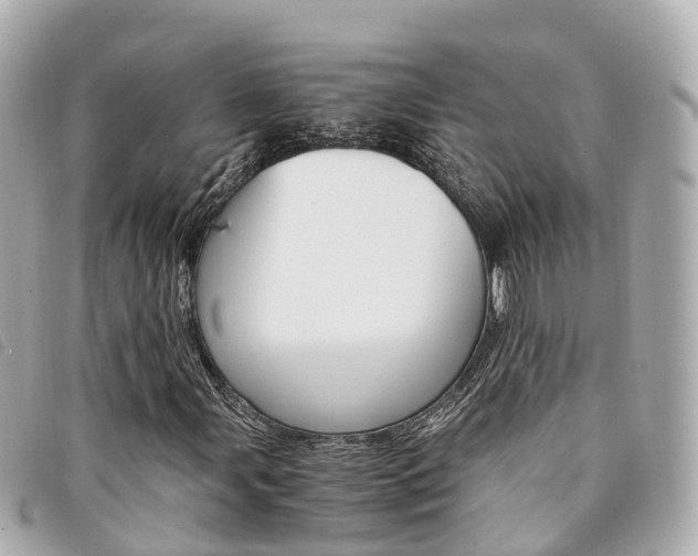 X0000094221107200710260948