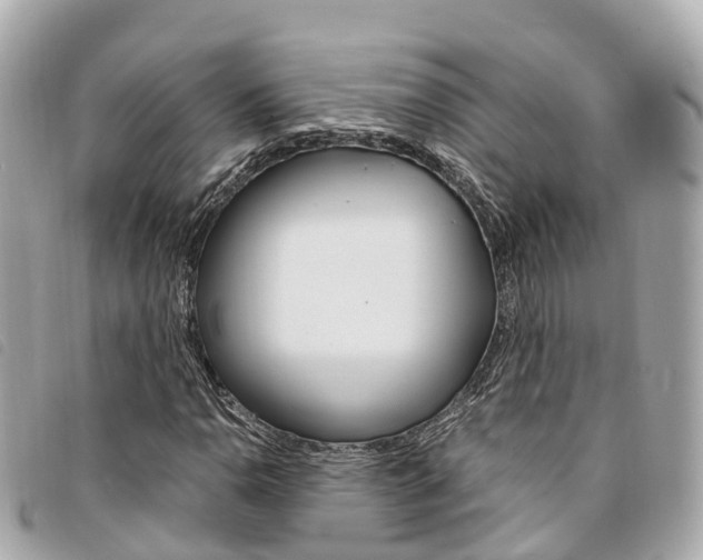 X0000094221110200710260948