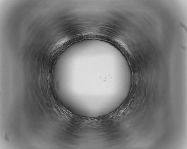 X0000094221111200710260948