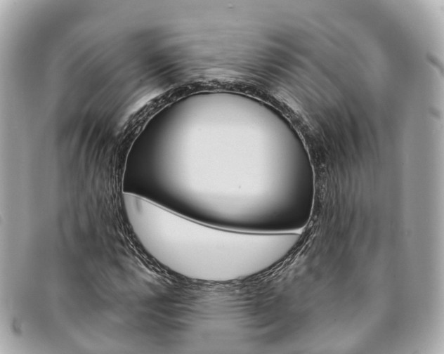 X0000094221112200710260948