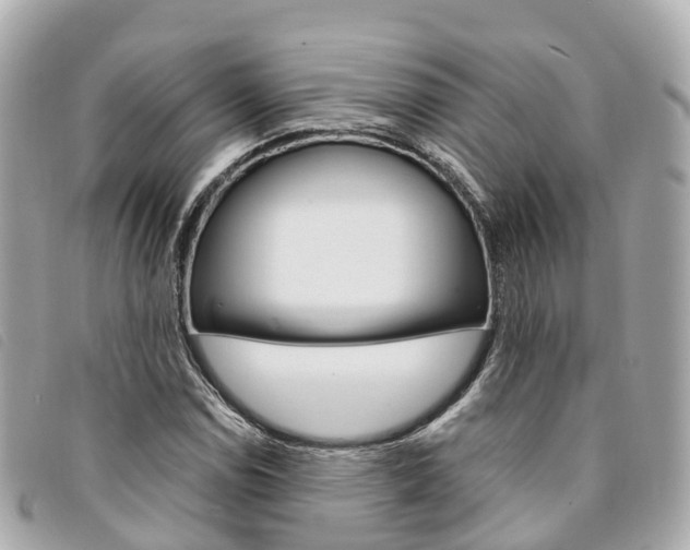 X0000094221114200710260948