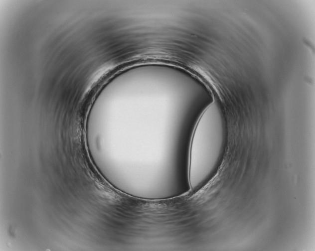 X0000094221115200710260948