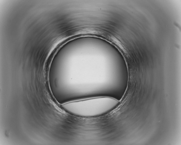 X0000094221116200710260948