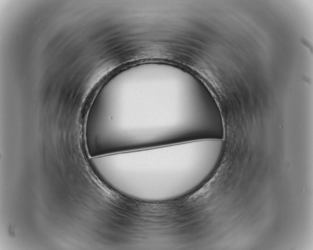 X0000094221119200710260948