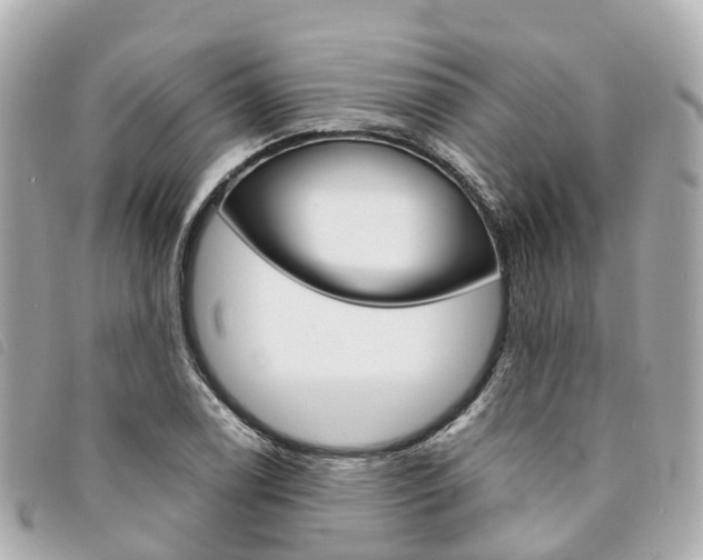 X0000094221122200710260948