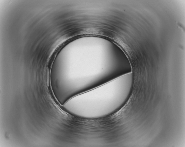 X0000094221123200710260948